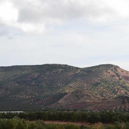 Finca El Vizconde Naturaleza Con Tus Hijos Arquillos Kültér fotó