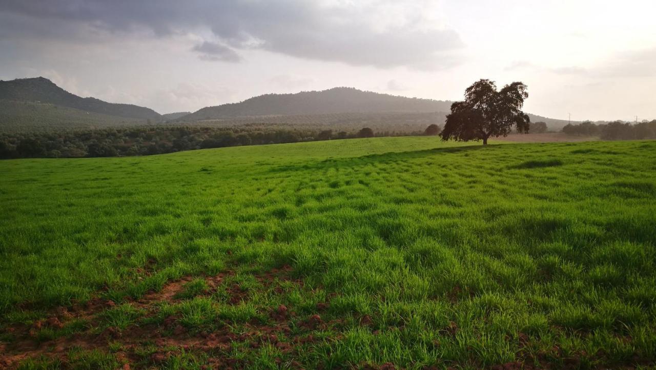 Finca El Vizconde Naturaleza Con Tus Hijos Arquillos Kültér fotó