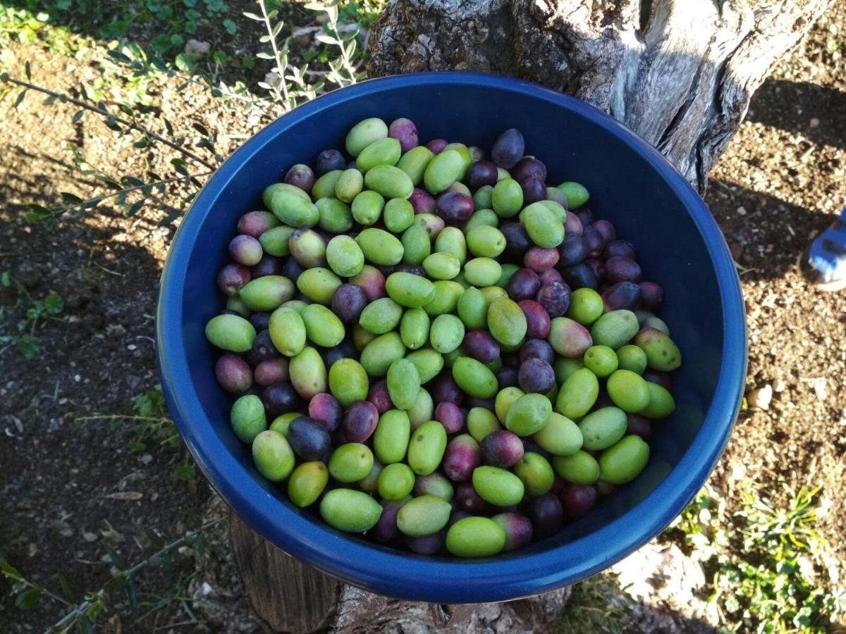 Finca El Vizconde Naturaleza Con Tus Hijos Arquillos Kültér fotó