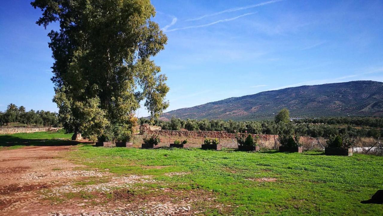 Finca El Vizconde Naturaleza Con Tus Hijos Arquillos Kültér fotó