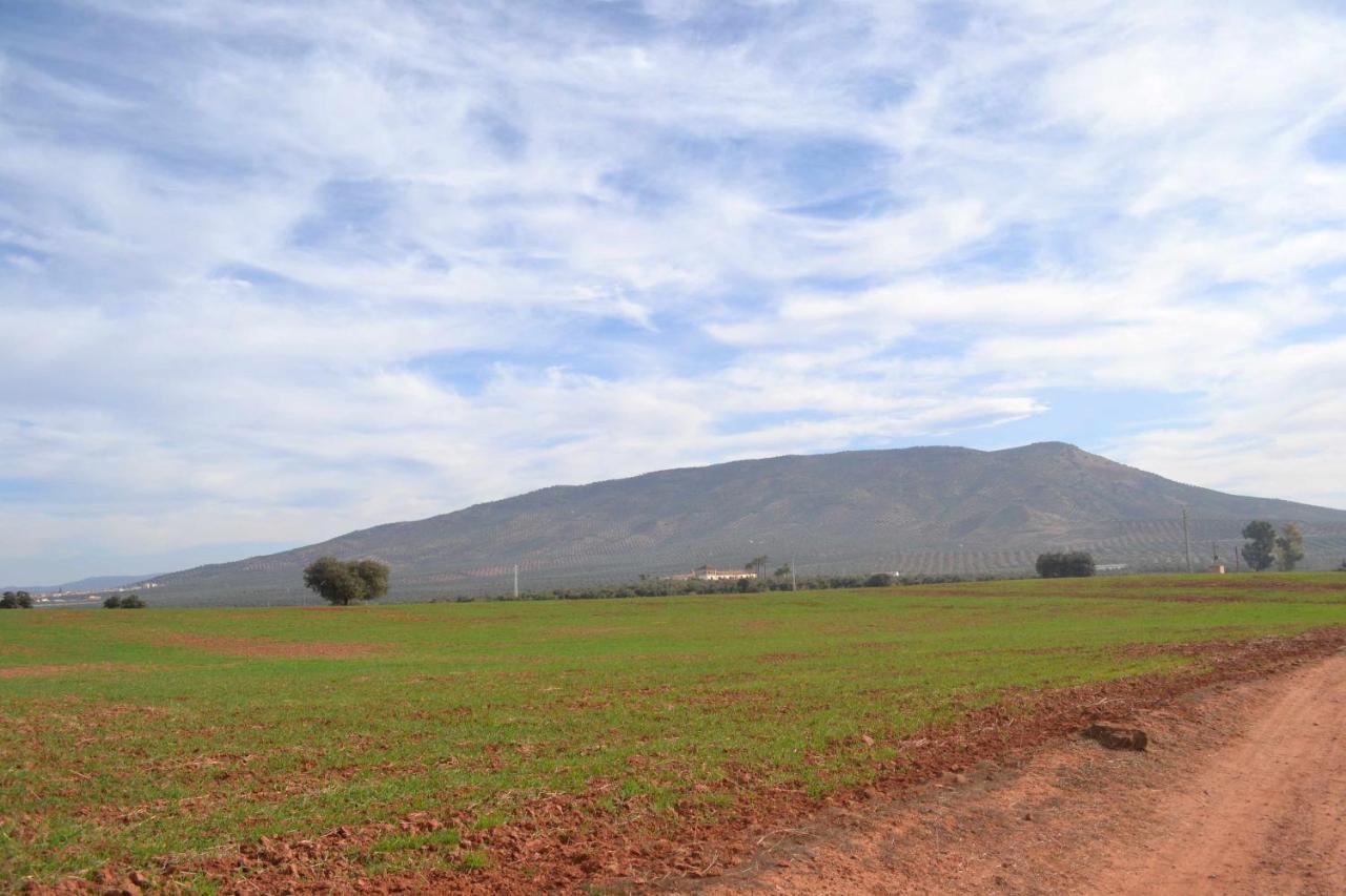 Finca El Vizconde Naturaleza Con Tus Hijos Arquillos Kültér fotó