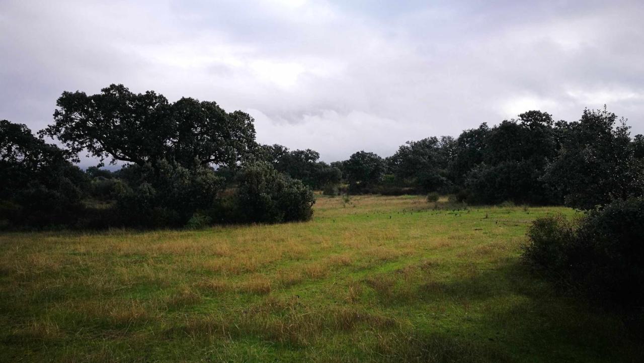 Finca El Vizconde Naturaleza Con Tus Hijos Arquillos Kültér fotó