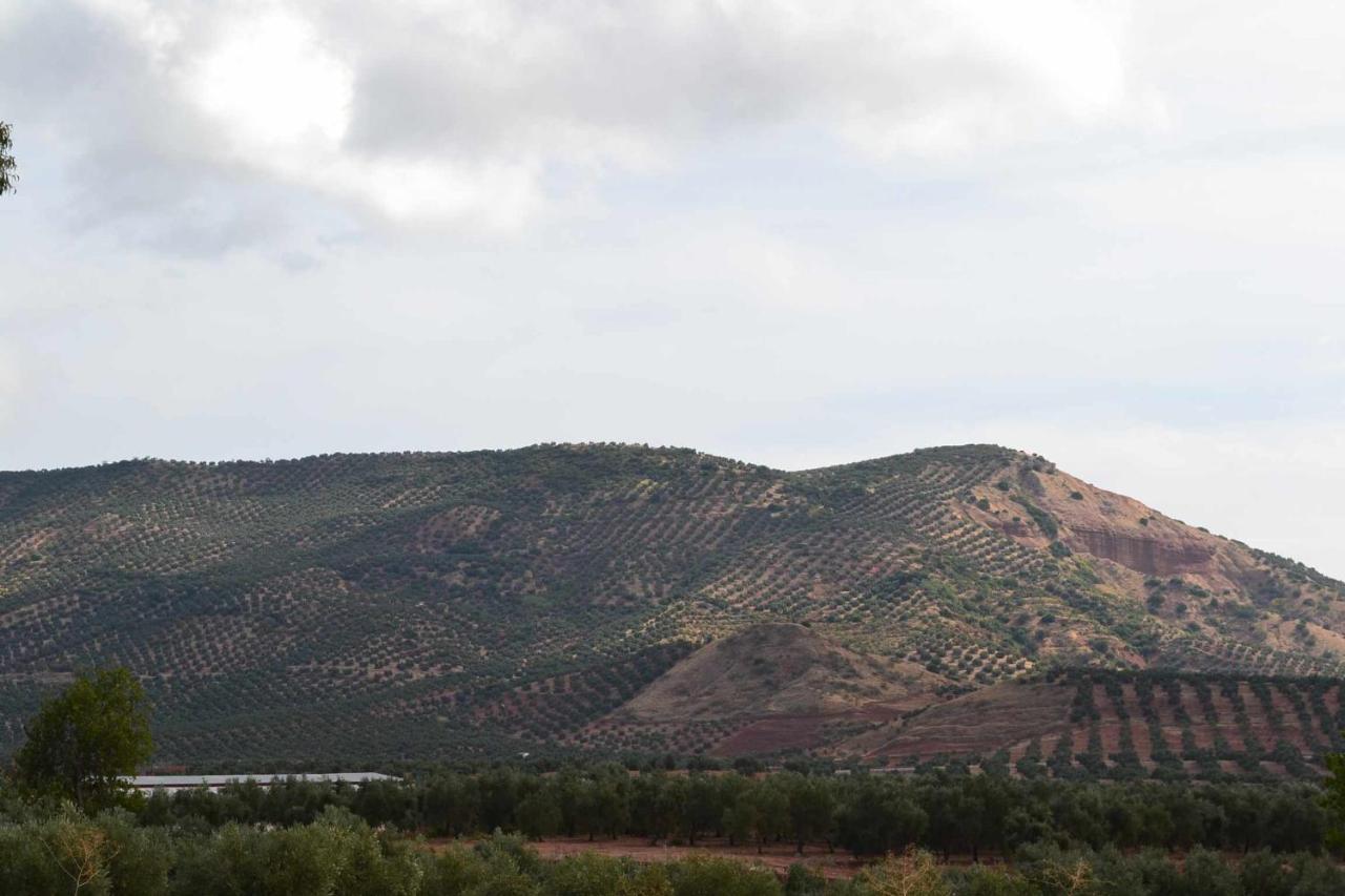 Finca El Vizconde Naturaleza Con Tus Hijos Arquillos Kültér fotó