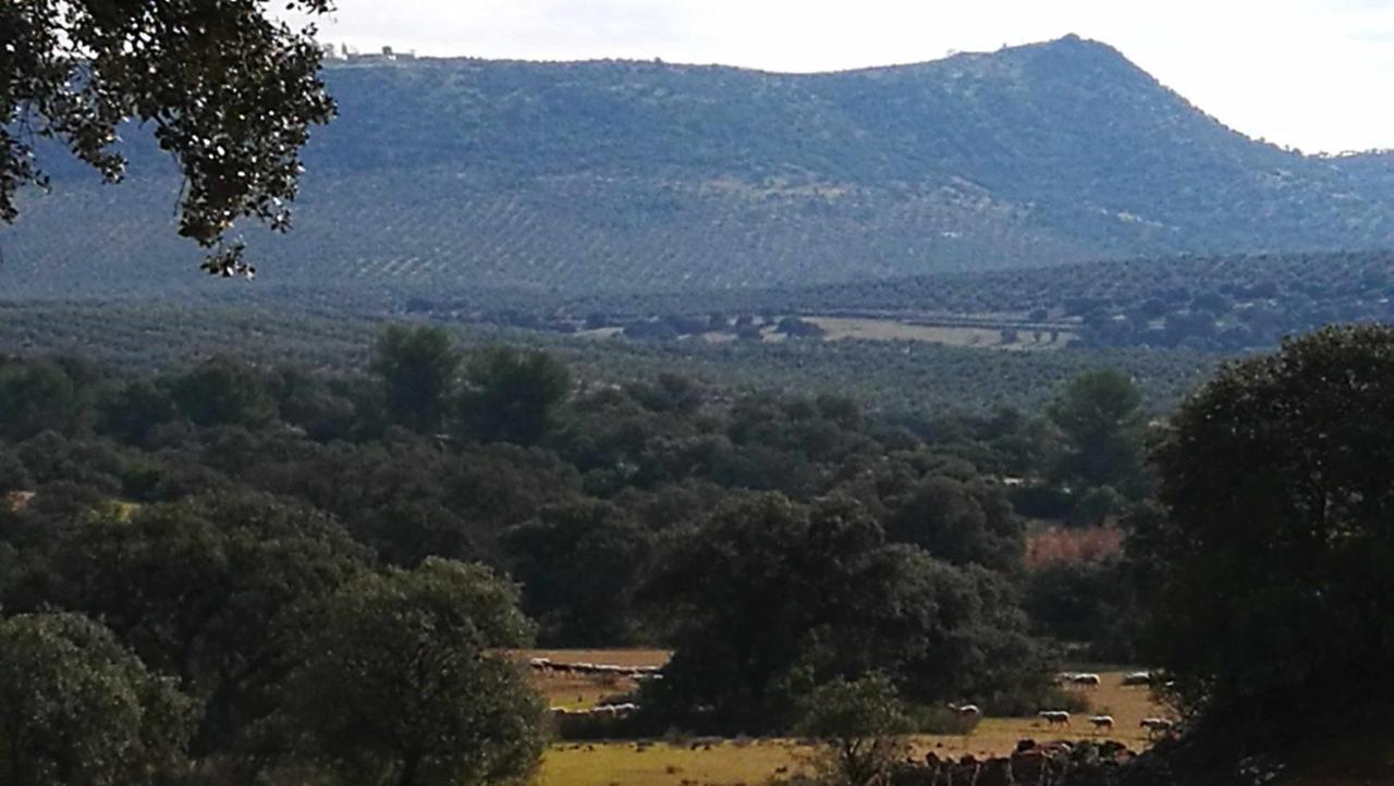 Finca El Vizconde Naturaleza Con Tus Hijos Arquillos Kültér fotó
