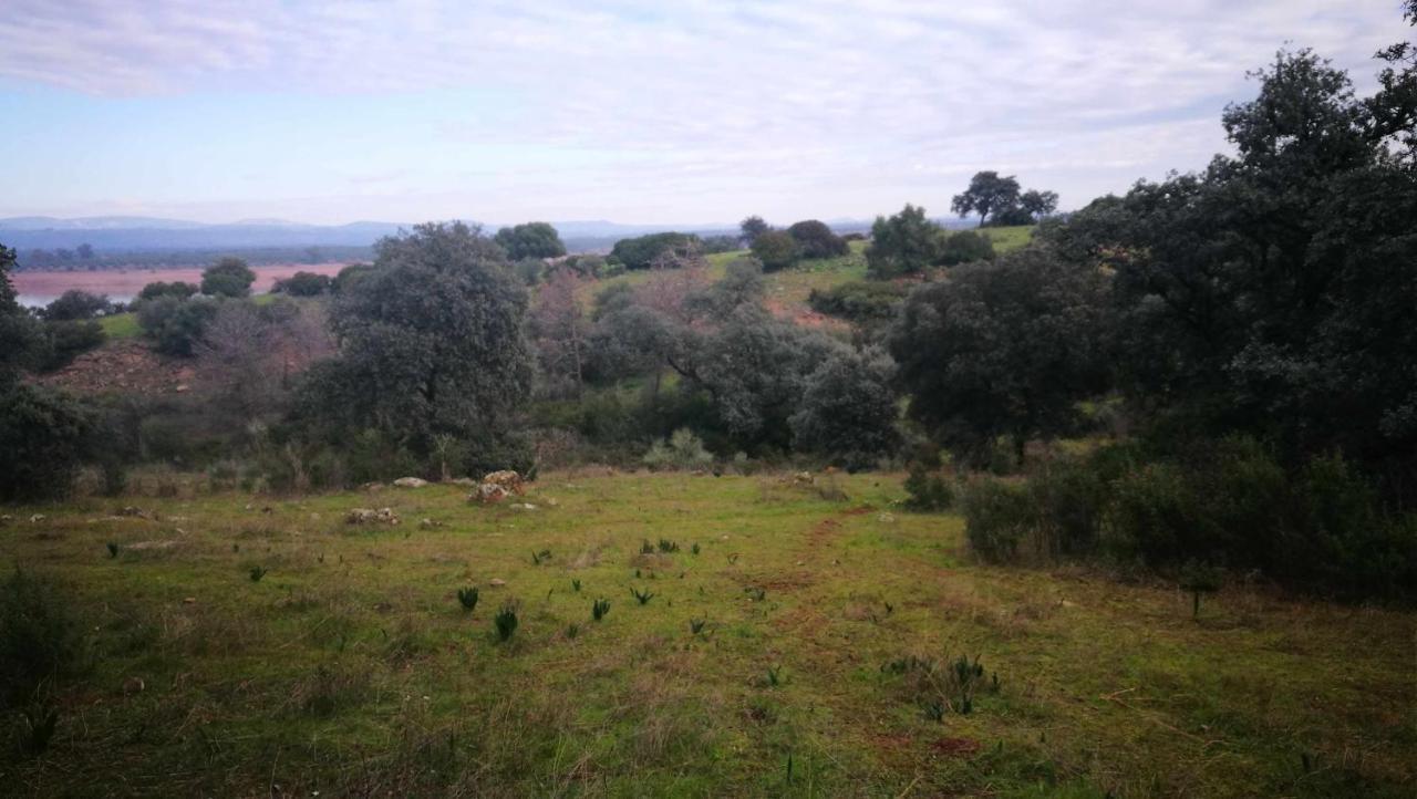 Finca El Vizconde Naturaleza Con Tus Hijos Arquillos Kültér fotó