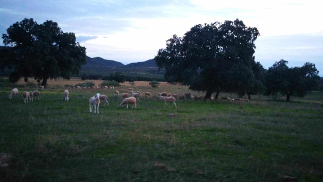 Finca El Vizconde Naturaleza Con Tus Hijos Arquillos Kültér fotó