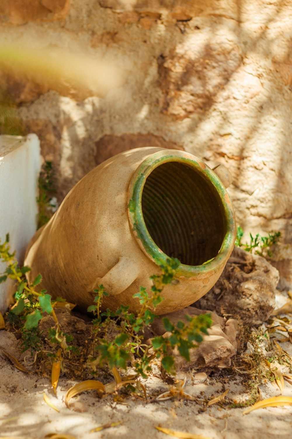 Finca El Vizconde Naturaleza Con Tus Hijos Arquillos Kültér fotó
